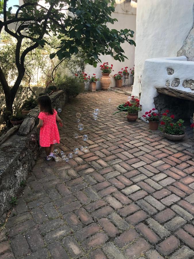 B&B Corte San Lussorio Ольєна Екстер'єр фото