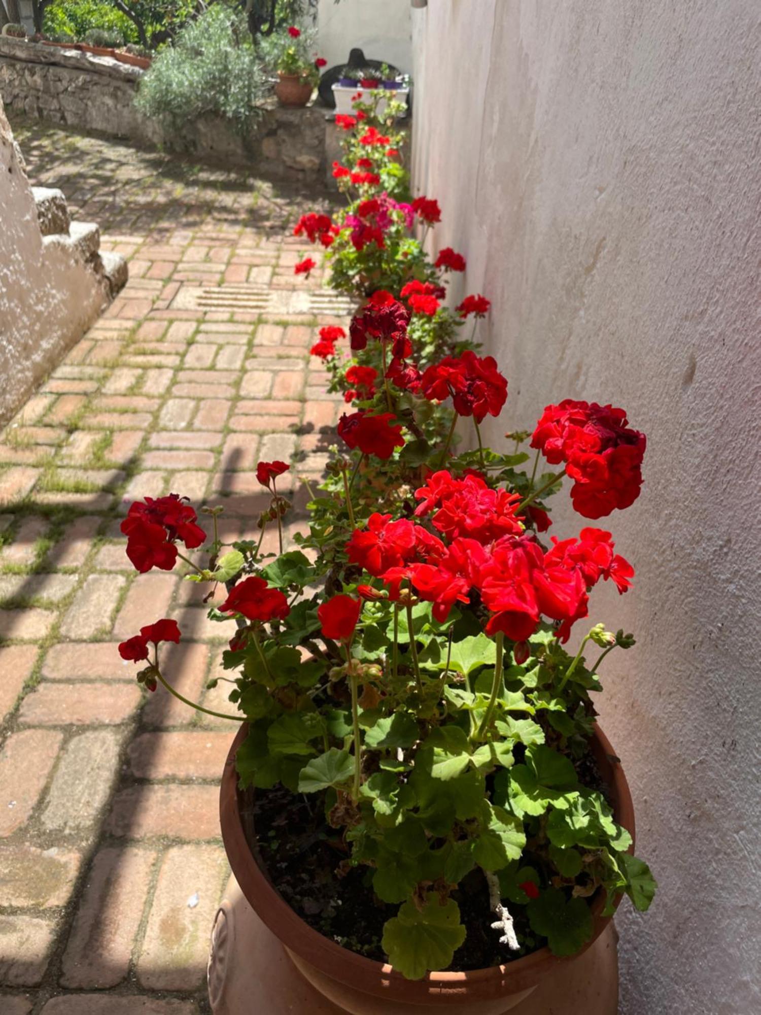 B&B Corte San Lussorio Ольєна Екстер'єр фото